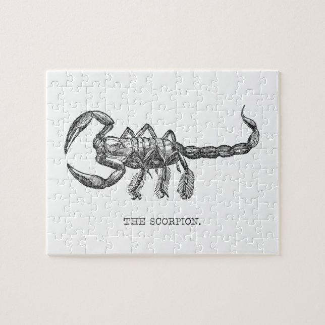 Quebra-cabeça Animais de escorpião assustadores com presentes (Horizontal)