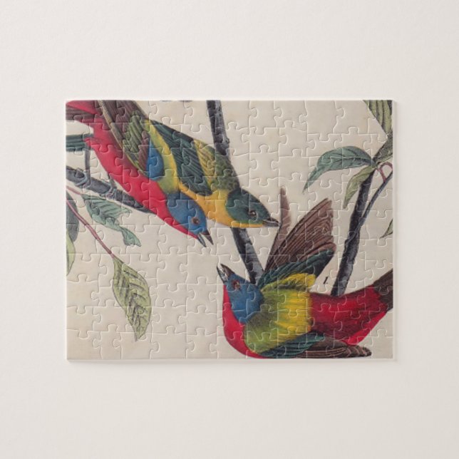 Quebra-cabeça Animais Selvagens de Aves Pintadas com Audubon (Horizontal)