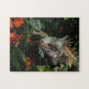 Quebra-cabeça  Animal Iguana - Poeta de réptil exótica Pet Lizar