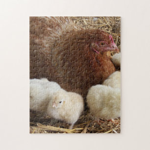 Quebra-cabeça animal, pintinho, frango, fazenda, fofo, pássaro,