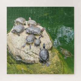 Quebra-cabeça animal, répteis, tartarugas, água, natureza, plant