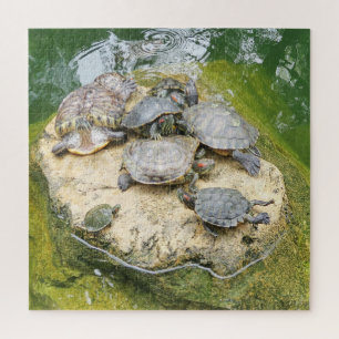 Quebra-cabeça animal, répteis, tartarugas, água, natureza, plant