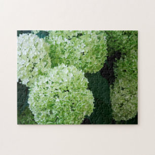 Quebra-cabeça Annabelle Hydrangeas Brancas