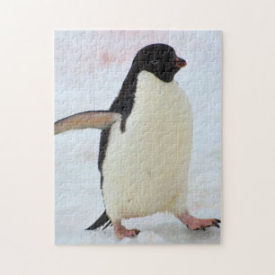 Quebra-cabeça Antártida. Ilha Petermann. Pinguim Adelie