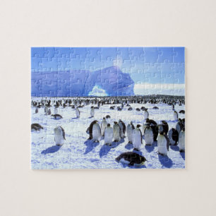 Quebra-cabeça Antártida, Península Antártica, Mar de Weddell, 5