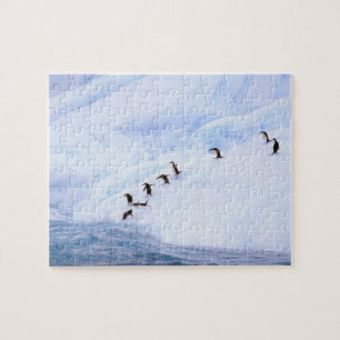 Quebra-cabeça Antártida, Península Antártica. Pinguim-de-barbich