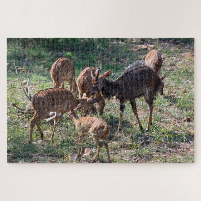 Quebra-cabeça Antílope Calmo – Natureza Africana (Horizontal)
