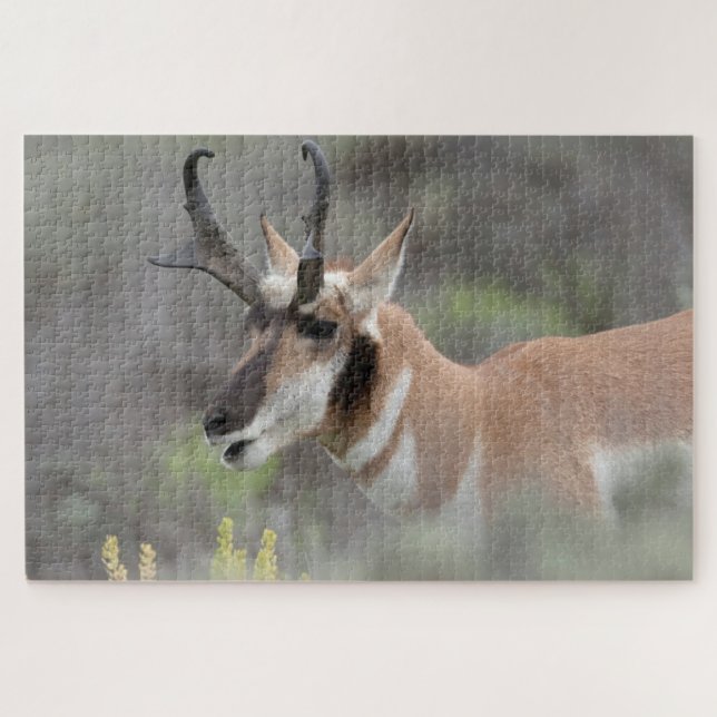 Quebra-cabeça Antílope Vilão Macho | Grand Tetons (Horizontal)