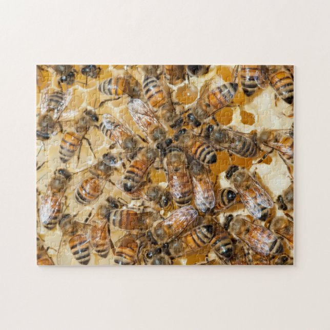 Quebra-cabeça Apicultura na Arlo's Honey Farm (Horizontal)