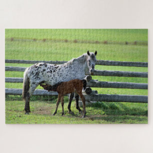 Quebra-cabeça Appaloosa Mare e Colt Horse