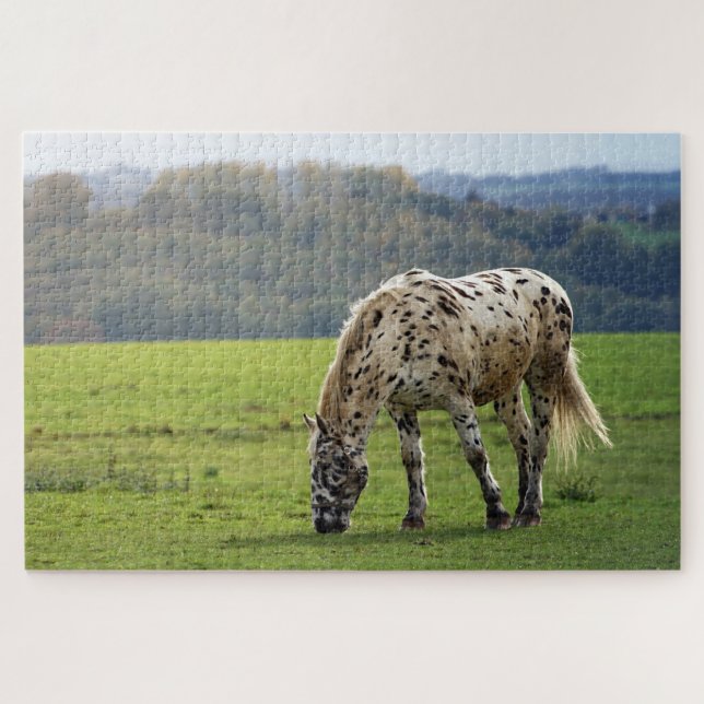 Quebra-cabeça Appaloosa Pastagem em campo (Horizontal)