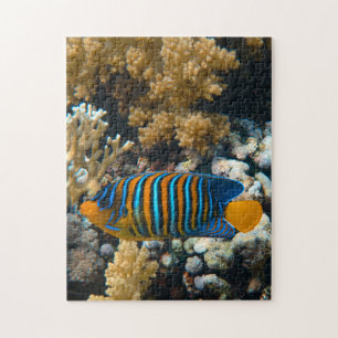 Quebra-cabeça Aquáticos Fotos náuticas Marinhas Qu