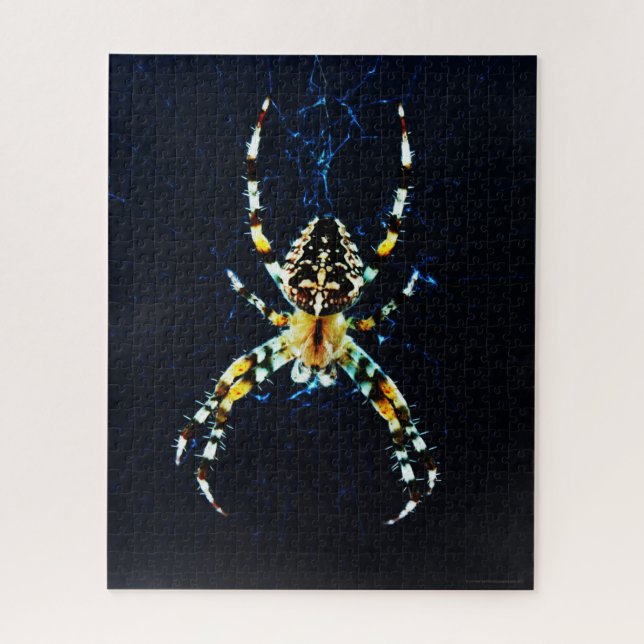 Quebra-cabeça Aranha-de-jardim-europeia 16x20 520pc jpa (Vertical)