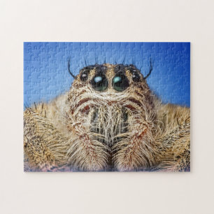Quebra-cabeça Aranha de salto