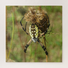 Quebra-cabeça Aranha do Jardim Negro e Amarelo