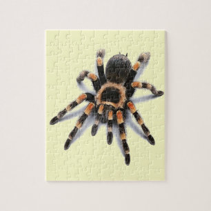 QUEBRA-CABEÇA ARANHA DO TARANTULA