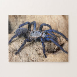 Quebra-cabeça Aranha Tarantula Azul Cobalto