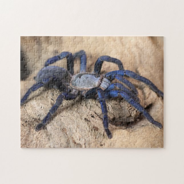Quebra-cabeça Aranha Tarantula Azul Cobalto (Horizontal)