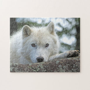 Quebra-cabeça ARCTIC WOLF 11x14 POLEGADAS
