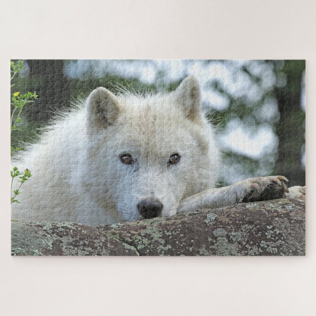 Quebra-cabeça ARCTIC WOLF 20x30 POLEGADAS (Horizontal)