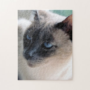 Quebra-cabeça arisco do gato Siamese