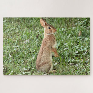 Quebra-cabeça Arisdale Arts: Rabbit selvagem em pé