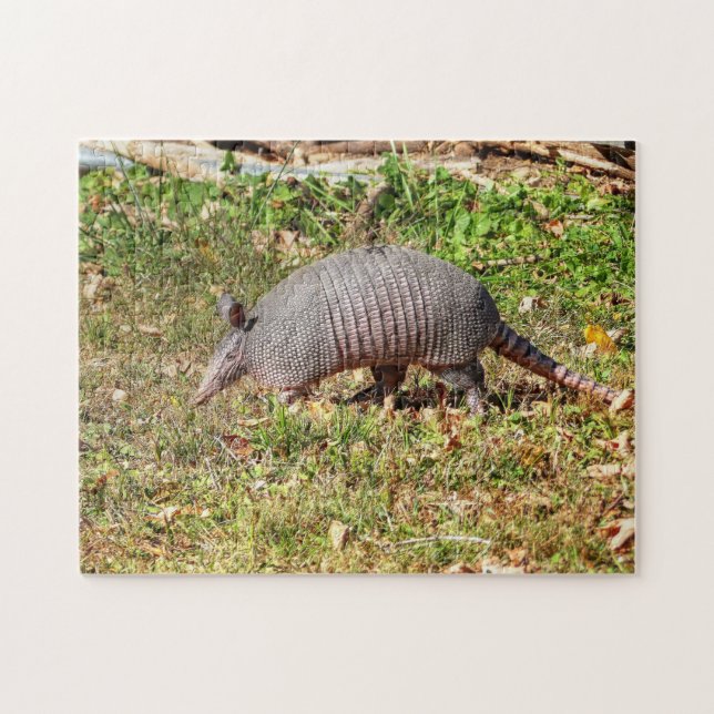 Quebra-cabeça Armadillo (Horizontal)