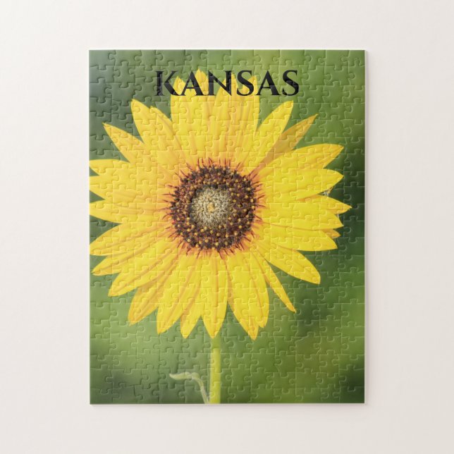 Quebra-cabeça Armário de Kansas Sunflower (Vertical)