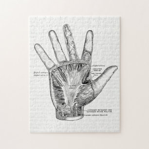 Quebra-cabeça Arte da anatomia do vintage a palma da mão