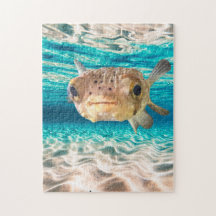 Arte de Animal Marinho Peixe-Puffer Fofinho