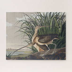 Quebra-cabeça Arte de Ave Vintage Audubon Maçarico-grande