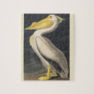 Quebra-cabeça Arte de Pássaro do Pelicano Branco Americano Audub