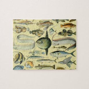 Quebra-cabeça Arte De Pesca Científica Dos Peixes Vintage