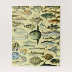 Quebra-cabeça Arte De Pesca Científica Dos Peixes Vintage