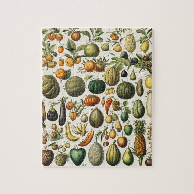 Quebra-cabeça Arte de Poster de Frutas Botânicas Francesas Vinta (Vertical)