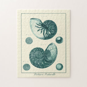 Quebra-cabeça Arte de Seashell Vermelha e Verde