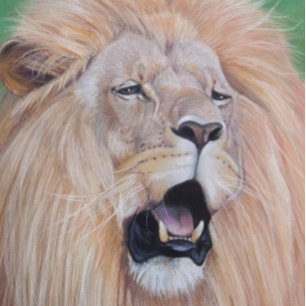 Quebra-cabeça Arte do realista dos animais selvagens do gato