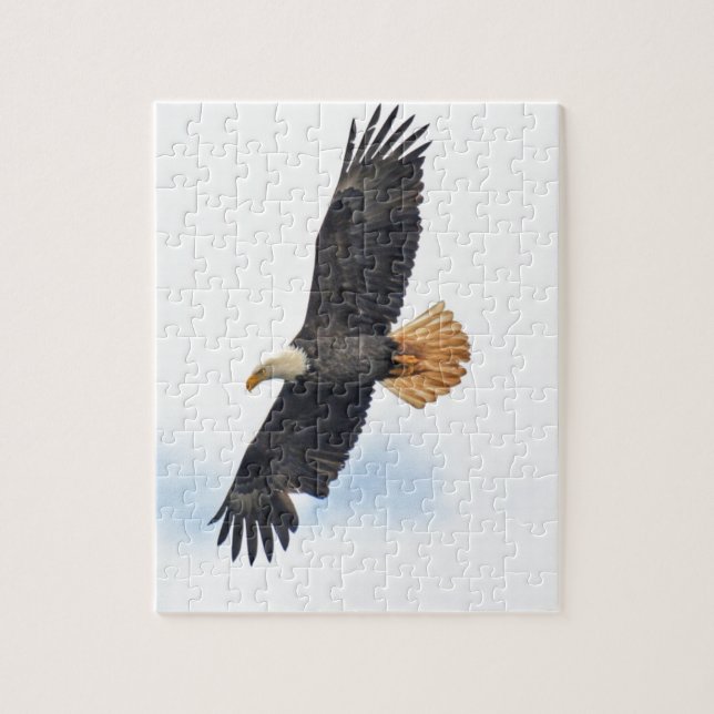 Quebra-cabeça Arte Fotográfica Bald Eagle Wildife (Vertical)