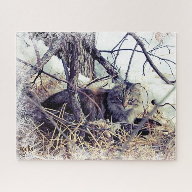 Quebra-cabeça Arte fotográfica de gato selvagem no inverno (Horizontal)