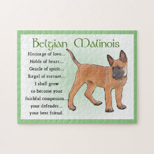 Quebra-cabeça Arte Malinois Belga