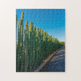 Quebra-cabeça Aruba cactus fence