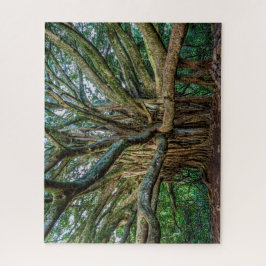 Quebra-cabeça Árvore Banyan Incrível