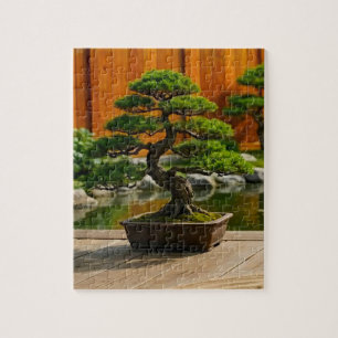 Quebra-cabeça Árvore Bonsai do Dragão do Equilíbrio
