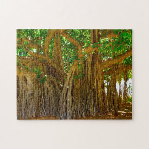 Quebra-cabeça Árvore de Banyan Honolulu Havaí