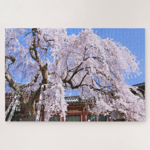 Quebra-cabeça Árvore de cereja ("Nara Ichiban-Zakura")