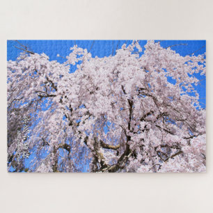 Quebra-cabeça Árvore de cereja ("Nara Ichiban-Zakura")