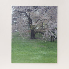 Quebra-cabeça árvore de floração primavera idílica