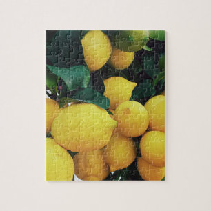 Quebra-cabeça Árvore de fruta de limão