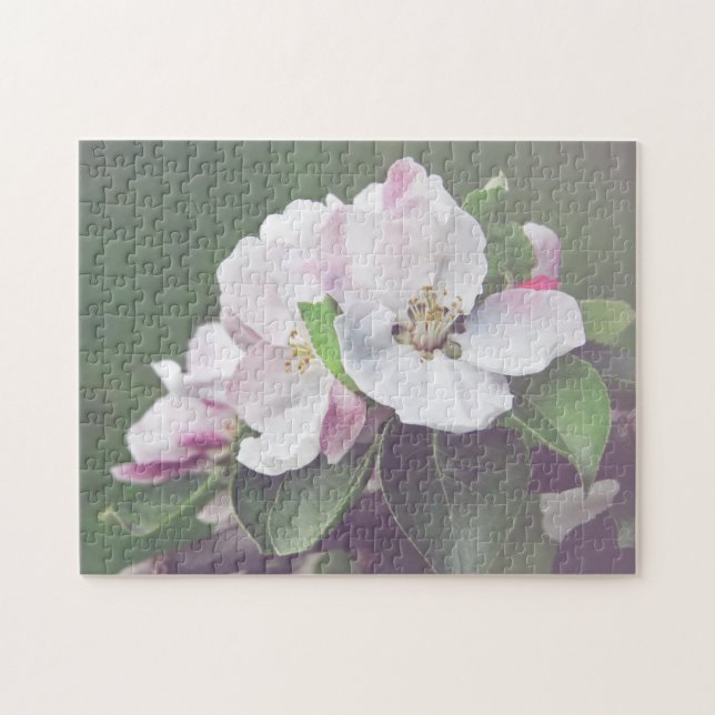 Quebra-cabeça Árvore de Maçã Branca Rosa em Flor (Horizontal)