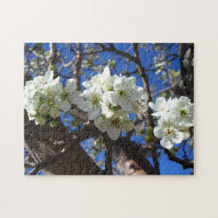 Quebra-cabeça Árvore de pera de Primavera de Flor em Clusters Br